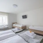 A Veselka Penzion 3*