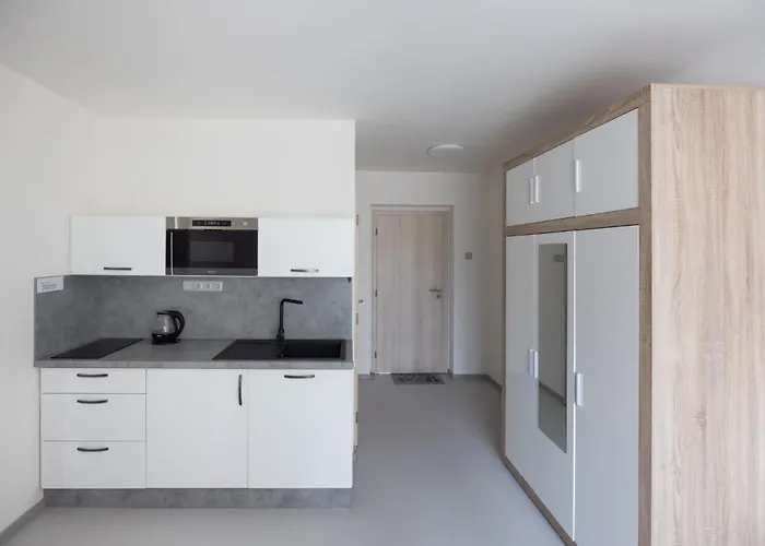 ゲストハウス A Veselka 3*